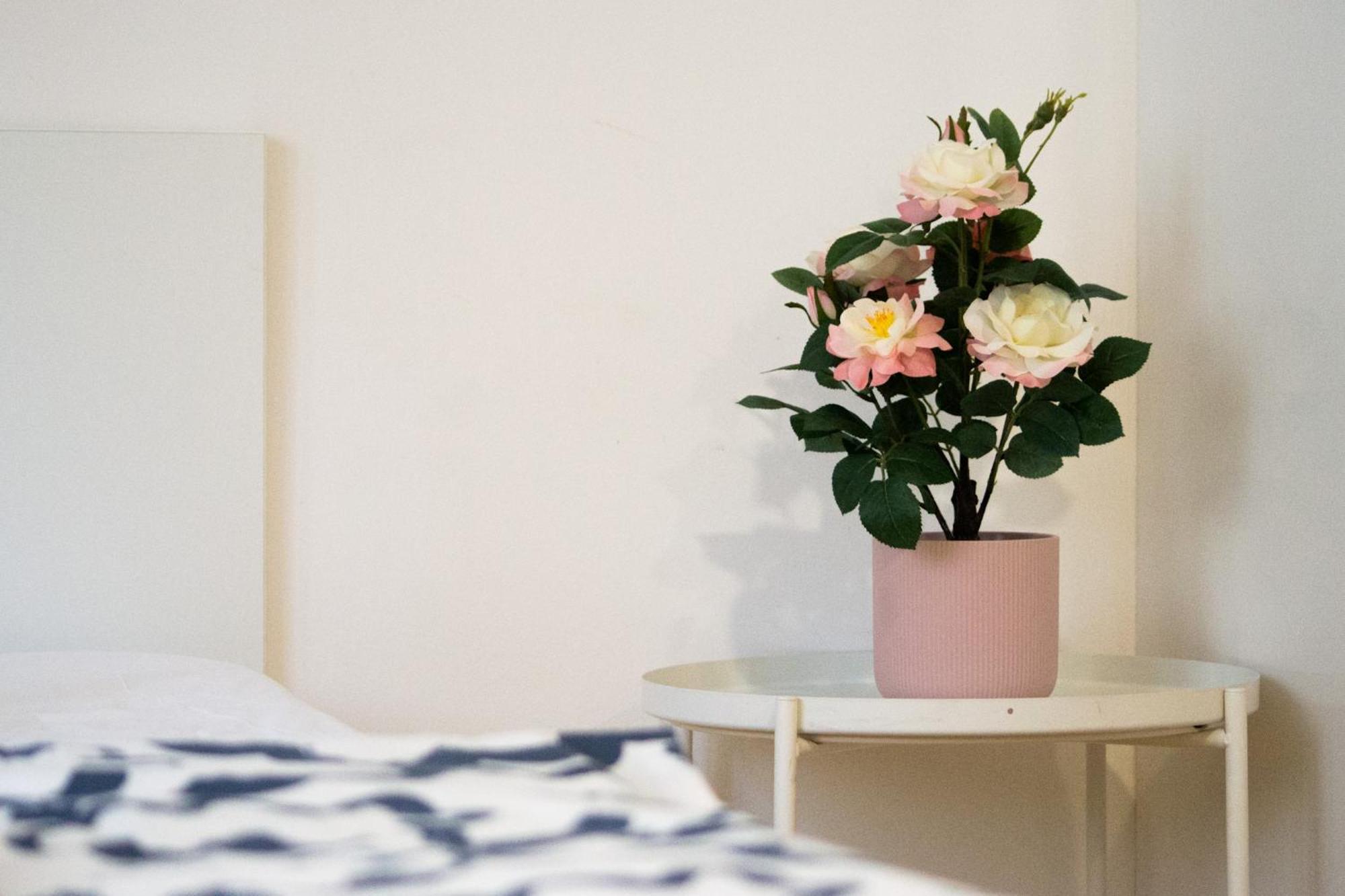 Apartmán Apartman Vlna Brno Exteriér fotografie